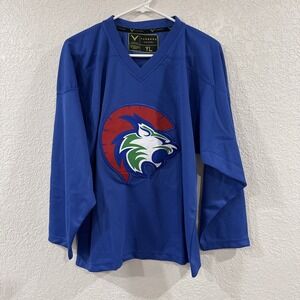 Vergard Jersey Youth Large Blue